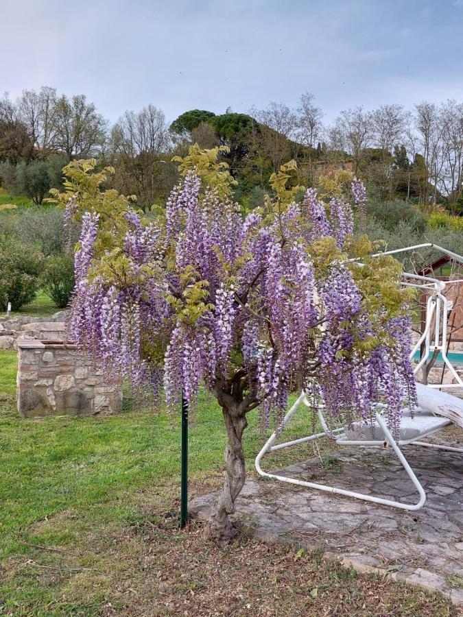 Agriturismo Camera Rosa Todi Zewnętrze zdjęcie